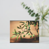 Carte Postale Olives vertes sur une branche (Debout devant)