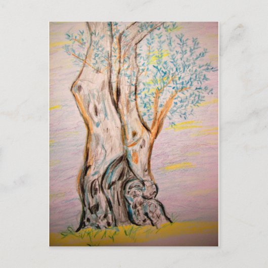 Carte Postale Olivier antique (Devant)