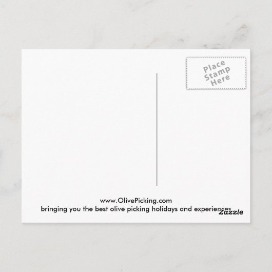 Carte Postale Oliviers anciens (Dos)