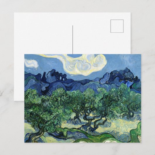 Carte Postale Oliviers aux Alpilles en Arrière - plan (Devant / Derrière)