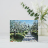 CARTE POSTALE OLIVIERS EN RIMAGGIO (Debout devant)