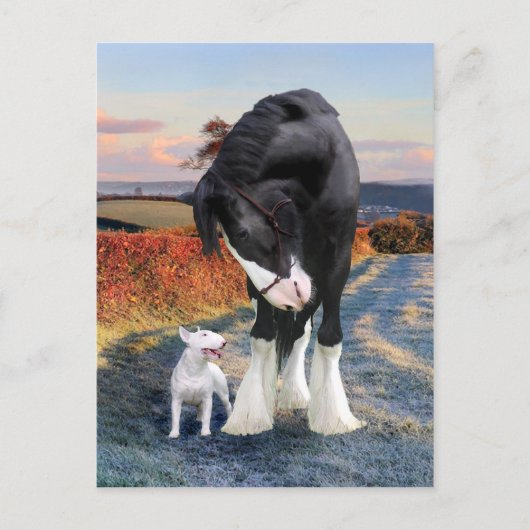 Carte postale "Ollie & Blackbird" (Devant)