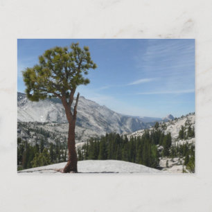 Carte Postale Olmsted Point I au parc national de Yosemite