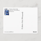 Carte Postale Omaha, NE (Dos)