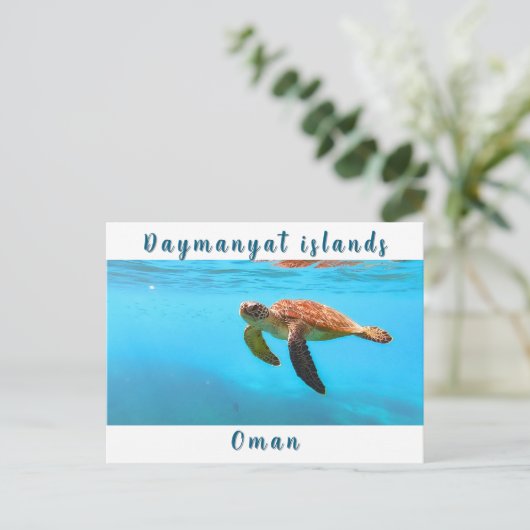 Carte postale Oman (Debout devant)