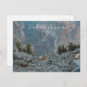 Carte postale Oman Jabal Shams (Devant / Derrière)