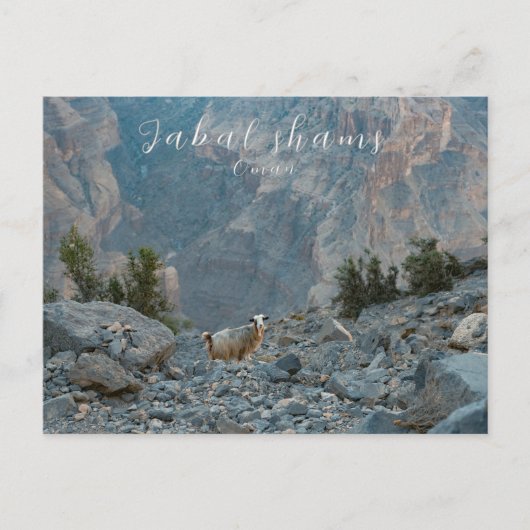 Carte postale Oman Jabal Shams (Devant)