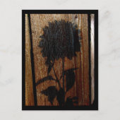 Carte Postale ombre (Devant)