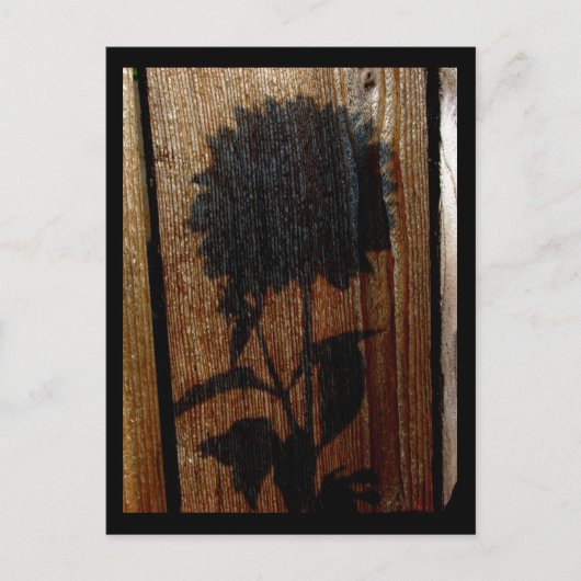 Carte Postale ombre (Devant)