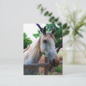 Carte Postale Ombre (Debout devant)