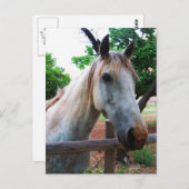 Carte Postale Ombre (Devant / Derrière)