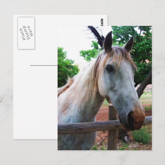 Carte Postale Ombre (Devant / Derrière)