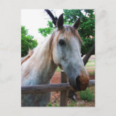 Carte Postale Ombre (Devant)