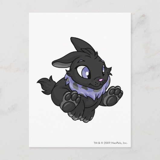 Carte Postale Ombre cybunny (Devant)