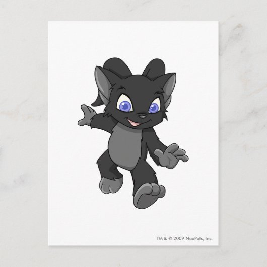 Carte Postale Ombre d'Acara (Devant)