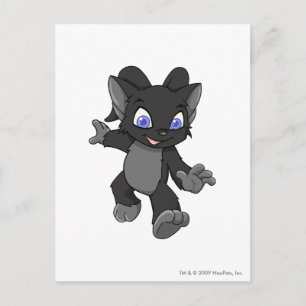 Carte Postale Ombre d'Acara