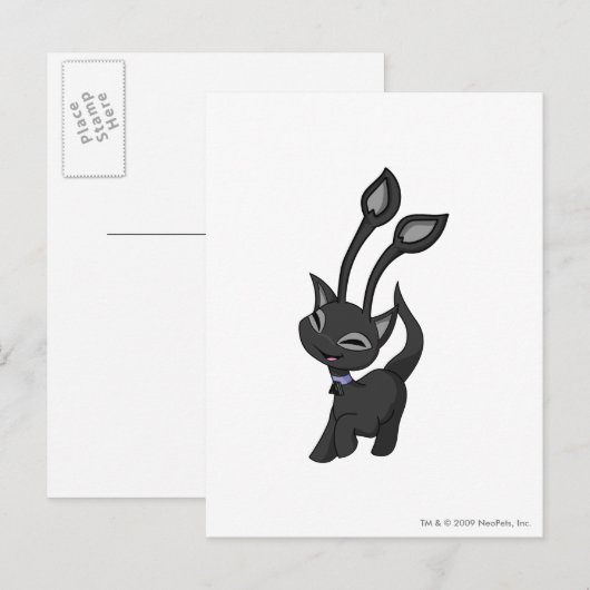 Carte Postale Ombre d'Aisha (Devant / Derrière)