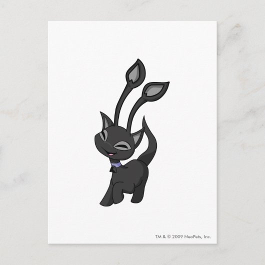 Carte Postale Ombre d'Aisha (Devant)