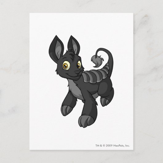 Carte Postale Ombre de Bori (Devant)