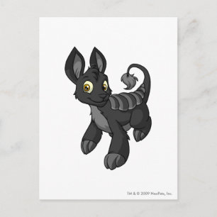 Carte Postale Ombre de Bori