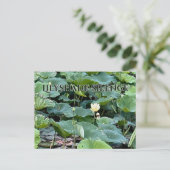 Carte Postale Ombre de Lys Silence (Debout devant)
