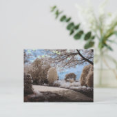 Carte Postale Ombre Du Jardin (Debout devant)