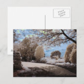 Carte Postale Ombre Du Jardin (Devant / Derrière)