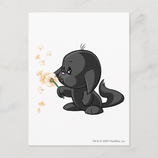 Carte Postale Ombre Kacheek (Devant)