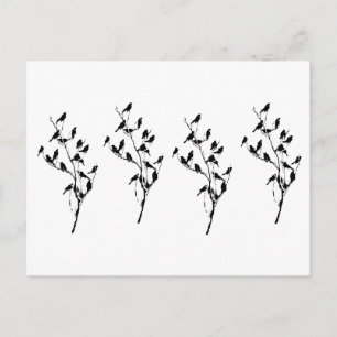 Carte Postale Ombres de Grackle