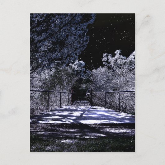 Carte Postale Ombres de lune (Devant)