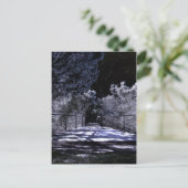 Carte Postale Ombres de lune (Debout devant)