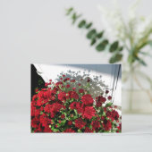 Carte Postale Ombres des mamans (Debout devant)