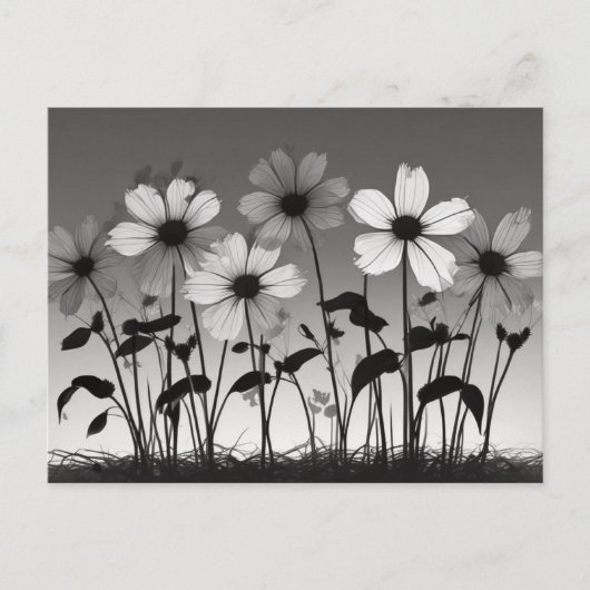 Carte Postale Ombres florales noires et blanches (Devant)