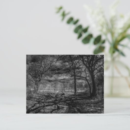 Carte Postale Ombres paysagères infrarouges dans les bois (Debout devant)
