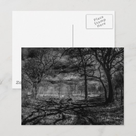 Carte Postale Ombres paysagères infrarouges dans les bois (Devant / Derrière)