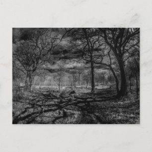 Carte Postale Ombres paysagères infrarouges dans les bois