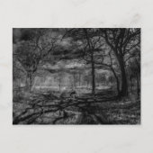 Carte Postale Ombres paysagères infrarouges dans les bois (Devant)