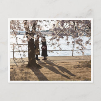 Carte postale "Ombres sous le cerisier"