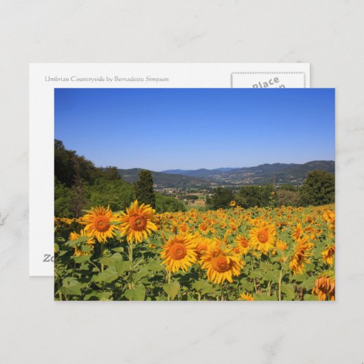 Carte postale Ombrie Campagne (Devant / Derrière)