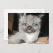 CARTE POSTALE OMG (Devant / Derrière)