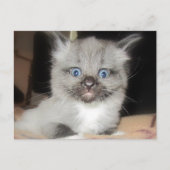 CARTE POSTALE OMG (Devant)