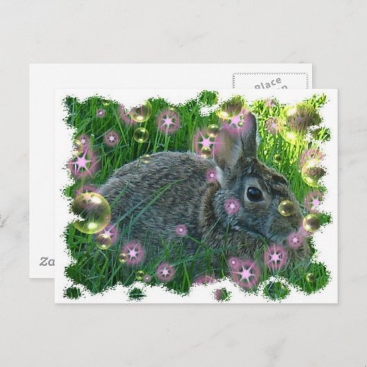 Carte Postale On a un lapin de fête (Devant / Derrière)