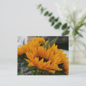 Carte Postale On dirait un tournesol (Debout devant)