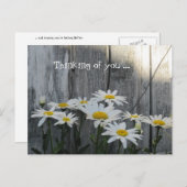 Carte Postale On se sent mieux avec les marguerites. (Devant / Derrière)