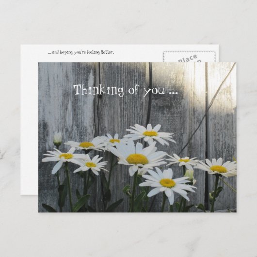 Carte Postale On se sent mieux avec les marguerites. (Devant / Derrière)