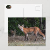 Carte Postale On Vous Regarde (Devant / Derrière)