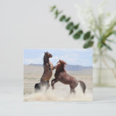 Carte Postale Onaqui Chevaux sauvages (Debout devant)