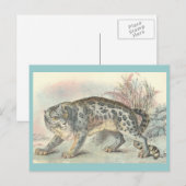 Carte Postale Once (léopard des neiges) (Devant / Derrière)