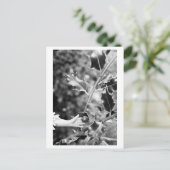 Carte Postale Once upon a time in the woods (Debout devant)