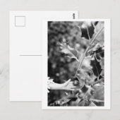 Carte Postale Once upon a time in the woods (Devant / Derrière)